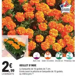 E.Leclerc OEILLET D'INDE offre