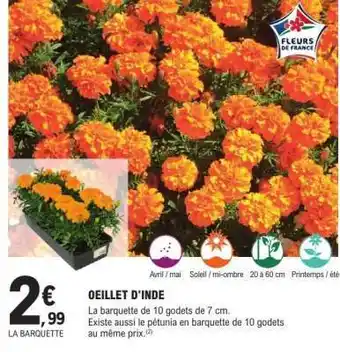 E.Leclerc OEILLET D'INDE offre