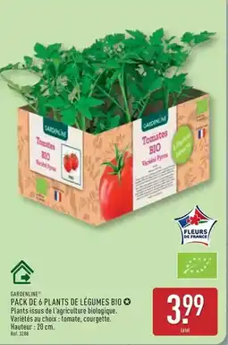 ALDI Carrefour - pack de 6 plants de légumes bio offre