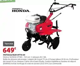 Rural Master Motoculteur mt75-3h offre