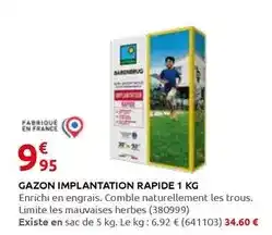 Rural Master Barenbrug - gazon implantation rapide 1 kg offre