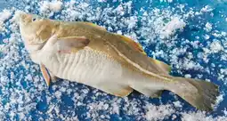 Auchan Sans marque cabillaud entier vidé offre