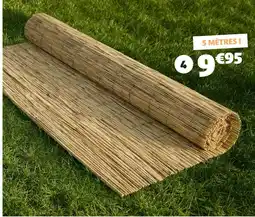 Gifi Canisse roseau offre