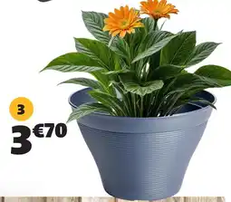 Gifi Pot vase offre