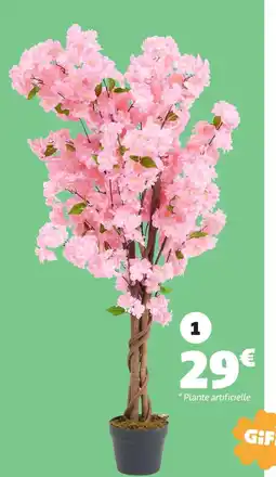 Gifi Cerisier japonais offre