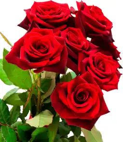 Auchan Supermarché Sans marque bouquet de 7 roses rouges red naomi offre