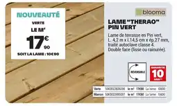 Brico Dépôt Lame therao pin vert offre