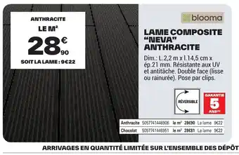 Brico Dépôt Lame composite neva anthracite offre