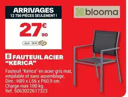 Brico Dépôt Fauteuil acier kerica offre