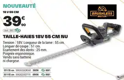 Brico Dépôt BRUSHLESS MOTOR Taille-haies 18v offre