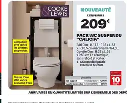 Brico Dépôt Pack wc suspendu calicia offre