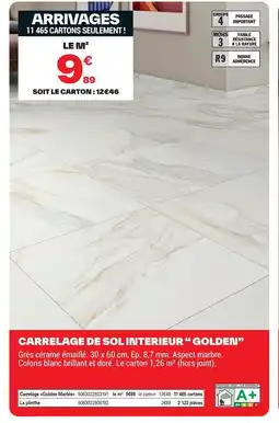 Brico Dépôt Carrelage de sol interieur golden offre