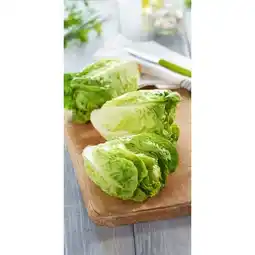 Carrefour Market Salade sucrine carrefour le marché offre