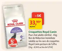 Maxi Zoo Royal canin croquettes offre
