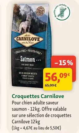 Maxi Zoo Carnilove croquettes offre