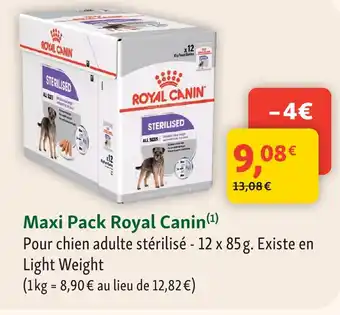 Maxi Zoo Royal canin maxi pack offre