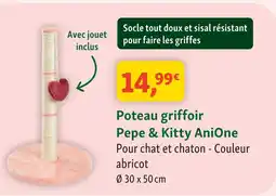 Maxi Zoo Anione poteau griffoir pepe & kitty offre