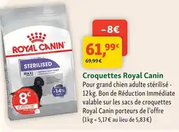Maxi Zoo Royal canin croquettes pour grand chien adulte stérilisé offre