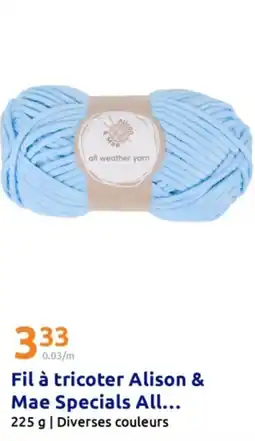 Action Fil à tricoter alison & mae specials all offre