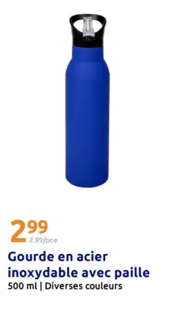 Action Gourde en acier inoxydable avec paille offre