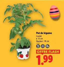 Lidl Pot de légume offre