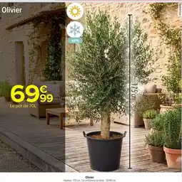 Carrefour Drive Olivier offre