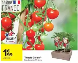 Carrefour Drive Tomate cerise offre
