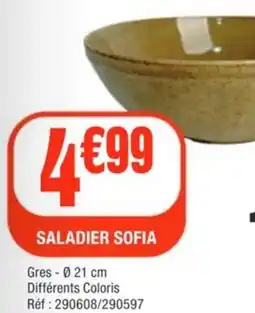 La Foir'Fouille Saladier sofia offre