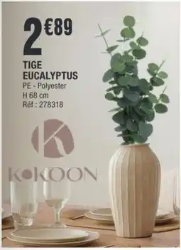 La Foir'Fouille Tige eucalyptus offre