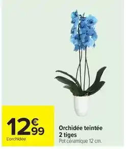 Carrefour Orchidée teintée 2 tiges offre