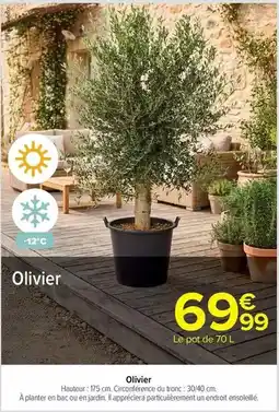 Carrefour Olivier offre
