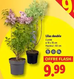 Lidl Flash - lilas double offre