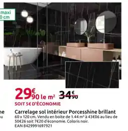 Mr Bricolage Carrelage sol intérieur Porcesshine brillant offre