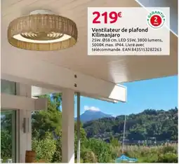 Mr Bricolage Ventilateur de plafond Kilimanjaro offre