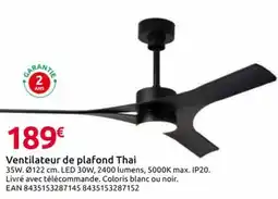 Mr Bricolage Ventilateur de plafond Thai offre