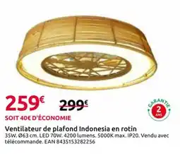 Mr Bricolage Ventilateur de plafond Indonesia en rotin offre