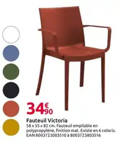 Mr Bricolage Fauteuil Victoria offre