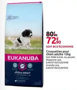 Mr Bricolage EUKANUBA Croquettes pour chien adulte offre