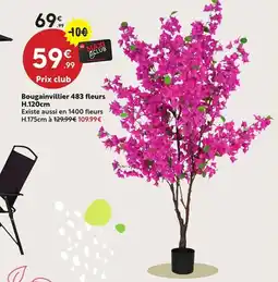 Maxi Bazar Bougainvillier 483 fleurs offre
