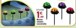 Maxi Bazar Borne solaire coccinelle offre