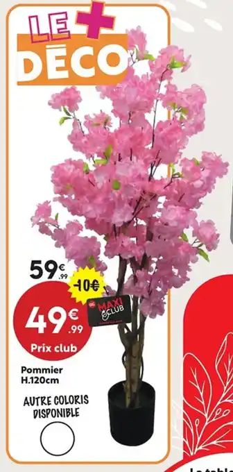 Maxi Bazar Pommier offre