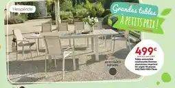 Maxi Bazar HESPÉRIDE Table extensible coulissante Evasion aluminium imprimé lin argile 10 places offre