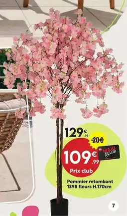 Maxi Bazar Pommier retombant 1398 fleurs offre