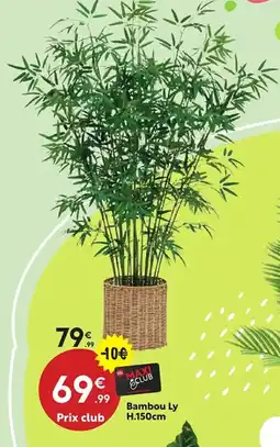 Maxi Bazar Bambou Ly offre