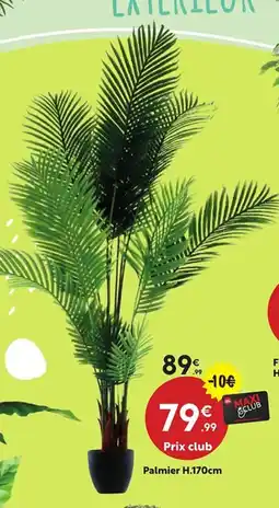 Maxi Bazar Palmier offre