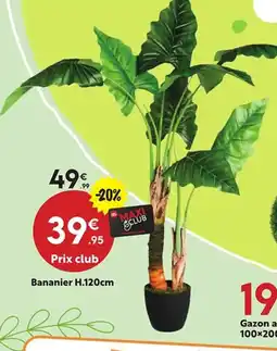 Maxi Bazar Bananier offre