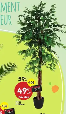 Maxi Bazar Ficus offre