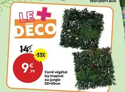 Maxi Bazar Carré végétal Izy tropical ou jungle offre