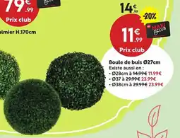 Maxi Bazar Boule de buis offre