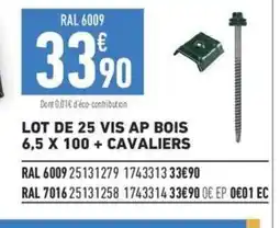 Brico Cash Lot de 25 vis ap bois offre